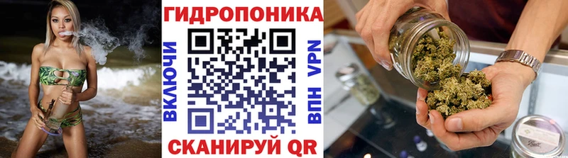 Бошки Шишки конопля  Купить закладки  Болотное 